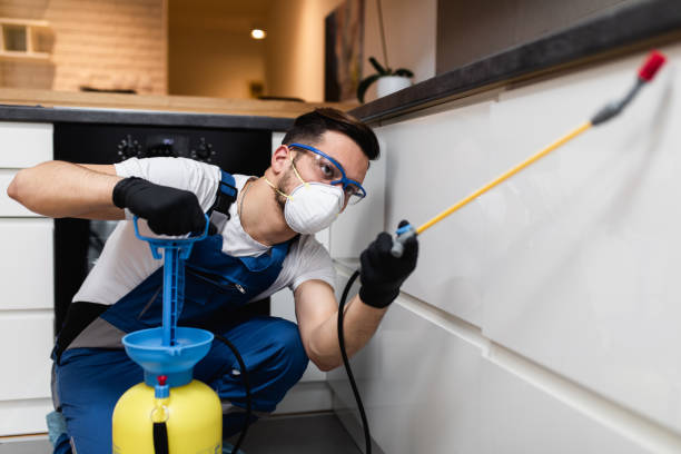 Best Pest Prevention Services  in Wyoming, IL