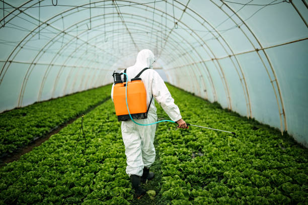 Best Pest Inspection Near Me  in Wyoming, IL