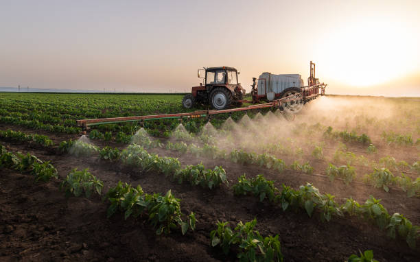 Best Mosquito Control Services  in Wyoming, IL