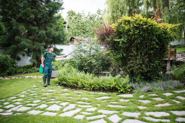 Best Pest Removal Services  in Wyoming, IL