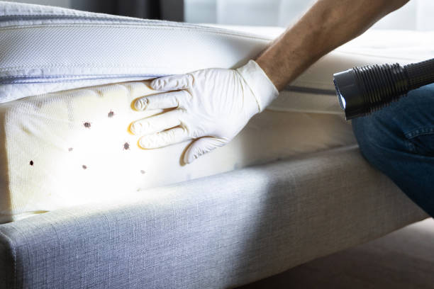 Best Bed Bug Extermination  in Wyoming, IL