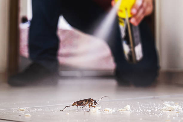 Best Ant Control Services  in Wyoming, IL