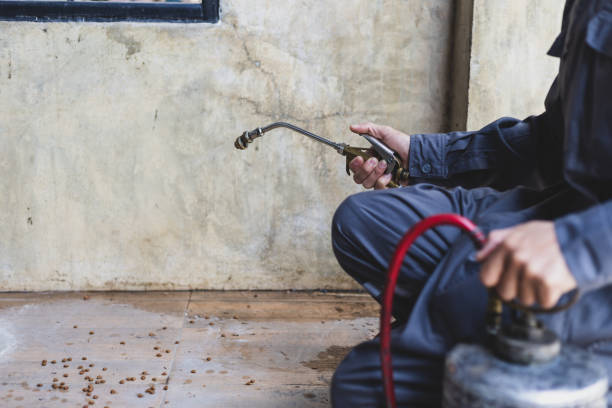 Pest Prevention Services in Wyoming, IL